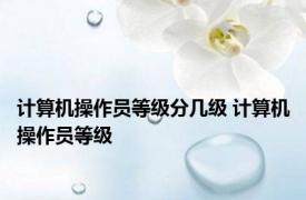 计算机操作员等级分几级 计算机操作员等级