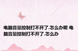 电脑音量控制打不开了.怎么办呢 电脑音量控制打不开了.怎么办