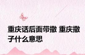 重庆话后面带撒 重庆撒子什么意思