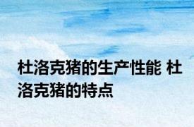杜洛克猪的生产性能 杜洛克猪的特点
