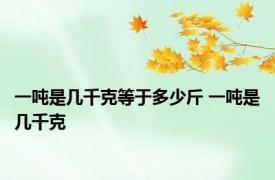 一吨是几千克等于多少斤 一吨是几千克