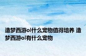 造梦西游ol什么宠物值得培养 造梦西游ol有什么宠物