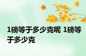 1磅等于多少克呢 1磅等于多少克