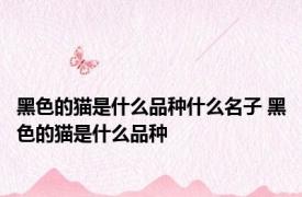 黑色的猫是什么品种什么名子 黑色的猫是什么品种