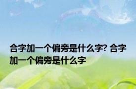 合字加一个偏旁是什么字? 合字加一个偏旁是什么字