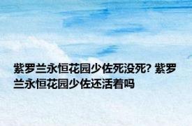 紫罗兰永恒花园少佐死没死? 紫罗兰永恒花园少佐还活着吗