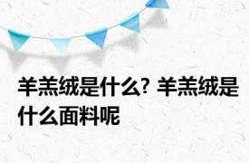 羊羔绒是什么? 羊羔绒是什么面料呢