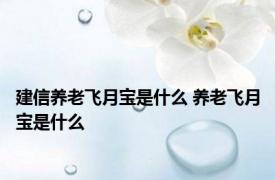 建信养老飞月宝是什么 养老飞月宝是什么