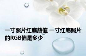 一寸照片红底数值 一寸红底照片的RGB值是多少