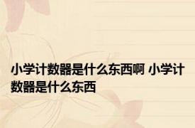 小学计数器是什么东西啊 小学计数器是什么东西