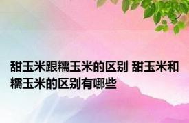 甜玉米跟糯玉米的区别 甜玉米和糯玉米的区别有哪些