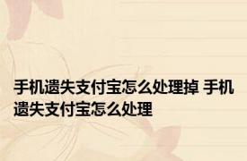 手机遗失支付宝怎么处理掉 手机遗失支付宝怎么处理