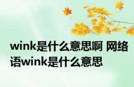 wink是什么意思啊 网络语wink是什么意思