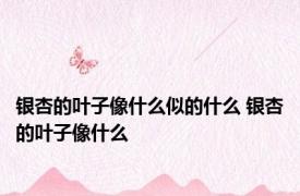 银杏的叶子像什么似的什么 银杏的叶子像什么