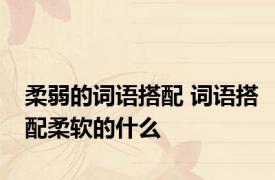 柔弱的词语搭配 词语搭配柔软的什么