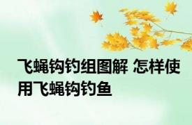 飞蝇钩钓组图解 怎样使用飞蝇钩钓鱼