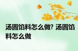 汤圆馅料怎么做? 汤圆馅料怎么做