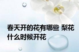 春天开的花有哪些 梨花什么时候开花