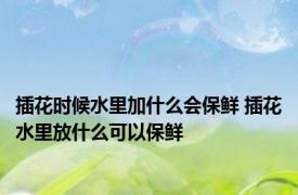 插花时候水里加什么会保鲜 插花水里放什么可以保鲜