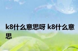 k8什么意思呀 k8什么意思
