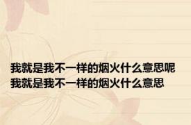 我就是我不一样的烟火什么意思呢 我就是我不一样的烟火什么意思