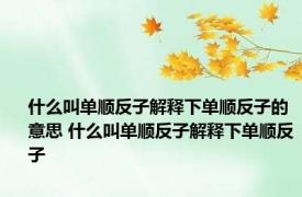 什么叫单顺反子解释下单顺反子的意思 什么叫单顺反子解释下单顺反子