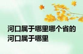 河口属于哪里哪个省的 河口属于哪里