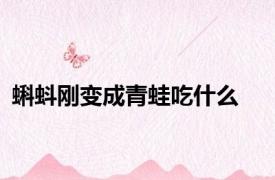 蝌蚪刚变成青蛙吃什么