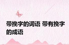 带挽字的词语 带有挽字的成语