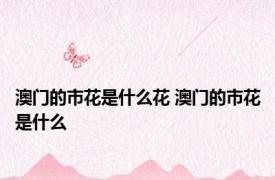澳门的市花是什么花 澳门的市花是什么