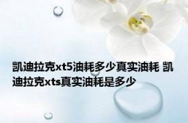 凯迪拉克xt5油耗多少真实油耗 凯迪拉克xts真实油耗是多少