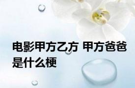 电影甲方乙方 甲方爸爸是什么梗