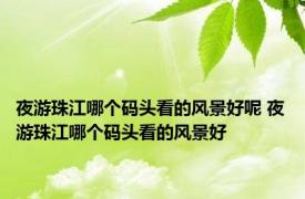 夜游珠江哪个码头看的风景好呢 夜游珠江哪个码头看的风景好