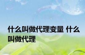 什么叫做代理变量 什么叫做代理