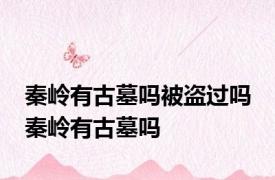 秦岭有古墓吗被盗过吗 秦岭有古墓吗
