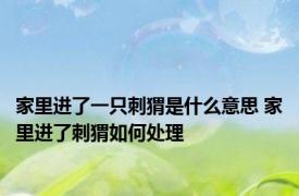家里进了一只刺猬是什么意思 家里进了刺猬如何处理