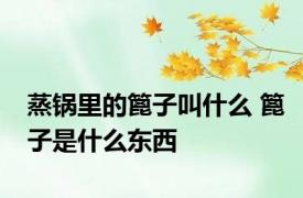 蒸锅里的篦子叫什么 篦子是什么东西
