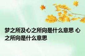 梦之所及心之所向是什么意思 心之所向是什么意思