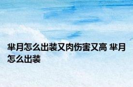 芈月怎么出装又肉伤害又高 芈月怎么出装
