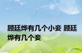 顾廷烨有几个小妾 顾廷烨有几个妾