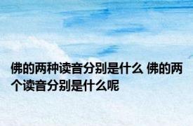 佛的两种读音分别是什么 佛的两个读音分别是什么呢