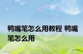 鸭嘴笔怎么用教程 鸭嘴笔怎么用