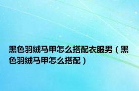 黑色羽绒马甲怎么搭配衣服男（黑色羽绒马甲怎么搭配）