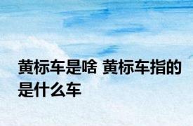黄标车是啥 黄标车指的是什么车
