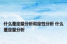 什么是定量分析和定性分析 什么是定量分析