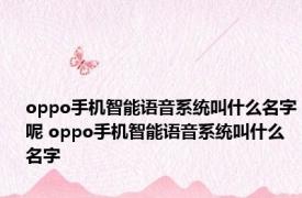 oppo手机智能语音系统叫什么名字呢 oppo手机智能语音系统叫什么名字