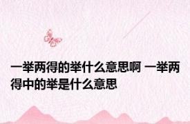 一举两得的举什么意思啊 一举两得中的举是什么意思
