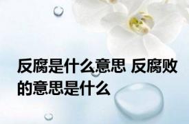 反腐是什么意思 反腐败的意思是什么