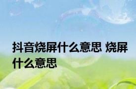 抖音烧屏什么意思 烧屏什么意思