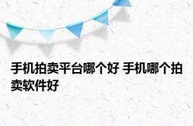 手机拍卖平台哪个好 手机哪个拍卖软件好